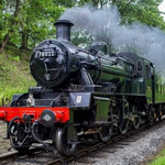 Wooden Train Whistle