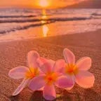 Tung Tung Tung Sahur