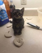 Legend of Zelda OOT Title Theme