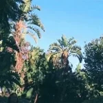 FDownload.app-1284668446873250-(320kbps) (copy)