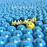 SIGMA COLD RIZZLOLOL