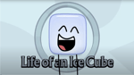 Life of an icecube