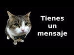tienes un mensajeee