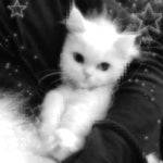 Trash Magic (sped up)