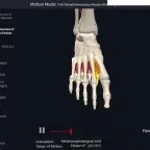 sceams of the damned