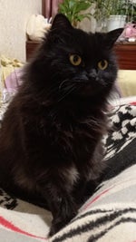 Не ну ты индеец, я балдю - Sound