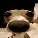 keyboard smash - Sound