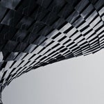 The Magical Liopleurodon