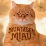 Montagem Miau (slowed down Version 0.9x)ion 0.7