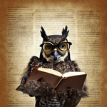 I am the narrator I