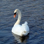 change da world my final message - Sound