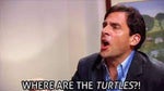 WHERE ARE THE TURTLES?!?
