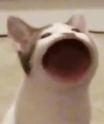 Fart