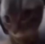 Chipi Chipi Chapa Chapa