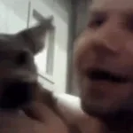 dawid jasper - miśka lubi jablka