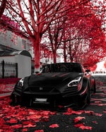 Let Go S3RL ft Tamika