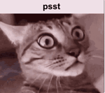 bill nye th sceince guy - Sound