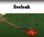 Demoman Liveleak