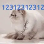 123123123123 - Sound