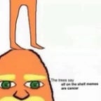 let it grow earape (copy)