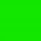 Elephant Green Screen Effect