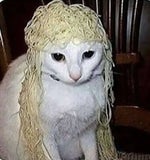 im lurkin and im stalkin