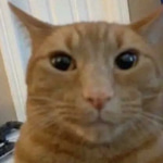 my back i can't move please help me