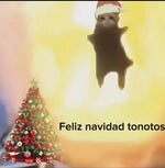 Feliz navidad tonotos