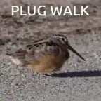 plug walk