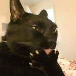 destructive turbulence