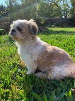 [FREE] Instru Rap LoveTrapGuitare AVEC TOI Prod