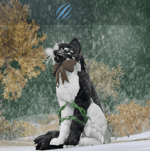 you smell of dead flowers 2/2