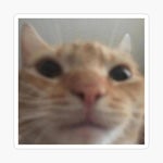 Home Depot Theme Song