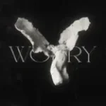 Worry - LONOWN (copy)