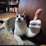 audio bugado o que eu faço - Sound