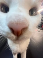 im gay but $20 is $20