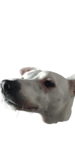 Rick Astley Never Gonna Give You Up (Official Music Video)