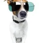 my hope will never die (loud)