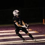 i just lost my dawg sound effect (majestic version)