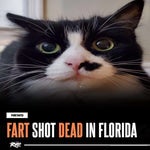 KAY FLOCK IS YA READY ULTRA EXTREME BASS BOOST