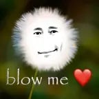 Samsun Harmonica Ringtone