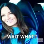 wait u can close the hatch alek