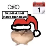 skibidi skibidi hawk tuah hawk