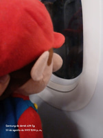 Victory Mario and Luigi