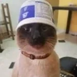 Recording 12/16/25 19:07:46