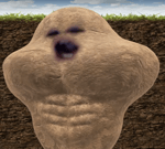 I AM THE STORM THAT IS APPROACHING - Sound