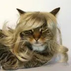 No te pases Ana Karen, yo pense que si te habia mordido un cocodrilo (Meme)