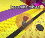 If you hate roblox