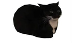 Maxwell the Cat Theme