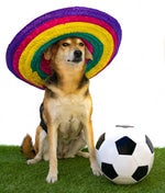 AAAAAAAAAAAAAAAH OH YEAAH